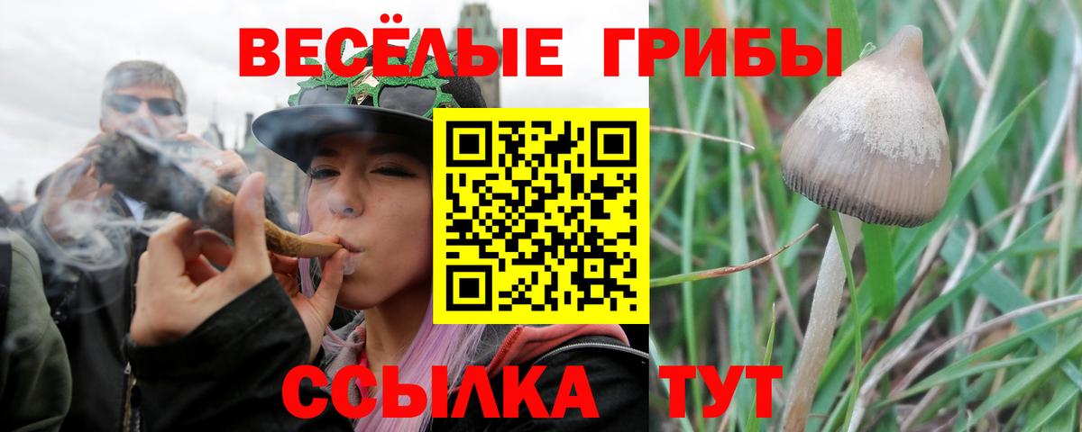Галлюциногенные грибы мухоморы  Вход с VPN  купить закладку  Саяногорск 